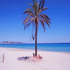 Otra de las playas que hayamos en Ibiza es la extensa playa d´en Bossa
