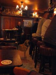 El Dijk 120 es un curioso Café del barrio rojo, donde podemos tomar buena cerveza y escuchar música antigua
