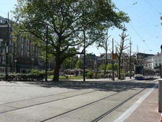 El tranvía circula junto a la plaza en un día soleado