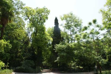 Los Jardines Nacionales, un refugio verde en Atenas