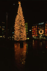 En Union Square se ilumina un gran árbol de navidad.