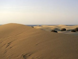 Las dunas de Maspalomas son algo muy hermoso