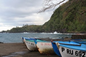 El clima y cuándo ir a Isla Reunión: Aunque se puede viajar prácticamente en cualquier momento por su clima, se puede recomendar una cierta temporada para ir a Reunión.