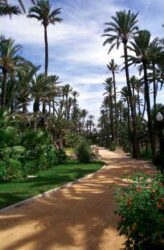 En Alicante se pueden disfrutar de diferentes y bellos parques y jardines